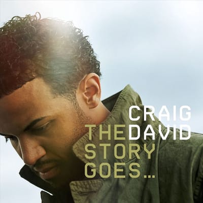 The Story Goes... - Craig David