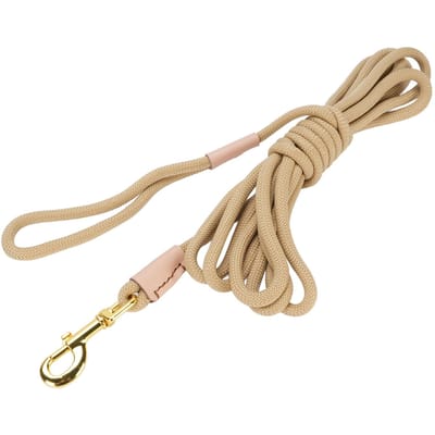Hondenriem Verstelbare Lengte Flexibel Lang Nylon Huisdier Trainingslijn met Karabijnhaak voor Buiten beige