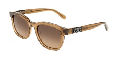 Ferragamo SF2107S Transparent brown 54/21/145 MAN Zonnebrillen