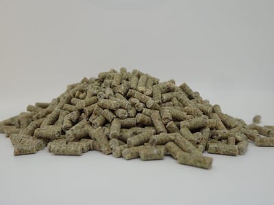 BoGi Voeders 023 Legkorrel - 20 kg- kippenvoer