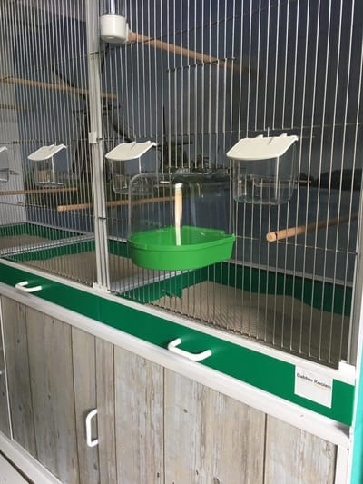 Badhuis groot met groene onderkant - Badschalen - Benodigdheden - Servies