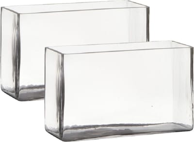 Hakbijl Glass Vaas - Set van 2x stuks - transparant - rechthoek - glas - 25 x 10 x 15 cm - Bloemstukje/terrarium vaas