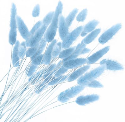 Gedroogde Konijnenstaarten - Droogbloemen Boeket - Woonkamer Decoratie - Natuurlijk Gedroogde Kwaliteit - 120 stuks - Blauw