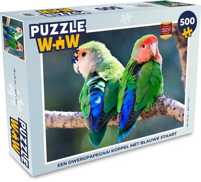 Puzzel Een dwergpapegaai koppel met blauwe staart - Legpuzzel - Puzzel 500 stukjes