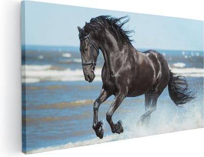 Artaza Canvas Schilderij Paard - 40x20 cm - Klein - Wanddecoratie Zee - Muurdecoratie Strand - Schilderijen Op Canvas Paarden