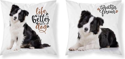 Bordercollie Hond Sierkussen kussen 40x40cm incl vulling