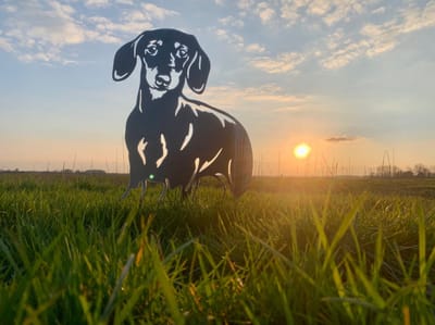 Metalen Hond - De teckel - Wanddecoratie van metaal