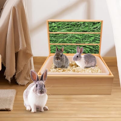 hooiruik voor cavia's, 2-in-1 konijnenratelier met afneembare kunststof strooibak, grasvoerhouder voor kleine dieren, 43 x 13,5 x 31,5 cm