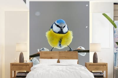 Behang - Fotobehang Pimpelmees - Vogel - Tak - Geel - Blauw - Breedte 160 cm x hoogte 220 cm