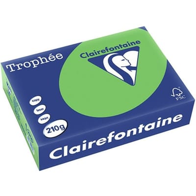 Clairefontaine Trophée Intens, gekleurd papier, A4, 210 g, 250 vel, grasgroen