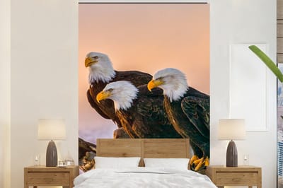 Behang - Fotobehang Vogels - Natuur - Roofvogels - Arend - Breedte 180 cm x hoogte 280 cm