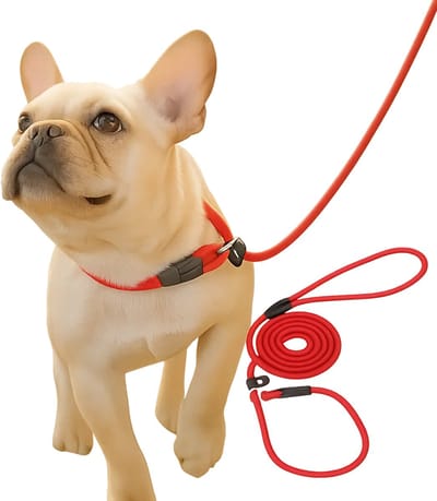 Sliplijn Met Stop I Hondenriem I 130 CM I Hondenriem I Nylon Trainingslijn I 130 CM I Rood