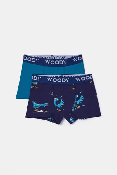 Woody duopack boxershort jongens - groenblauw/duiven all-overprint - 252-10-CLD-Z/022 - maat 176