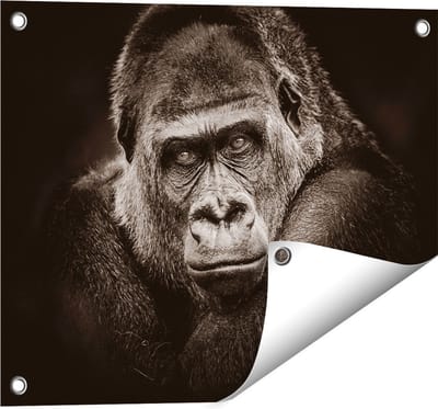 Gards Tuinposter Gorilla - Zwart Wit - 50x40 cm - Tuindoek - Tuindecoratie - Wanddecoratie buiten - Tuinschilderij