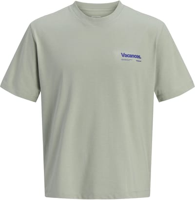 JACK&JONES - JORRIVIERA BACK PHOTO TEE SS CREW NECK - Heren - T-shirts