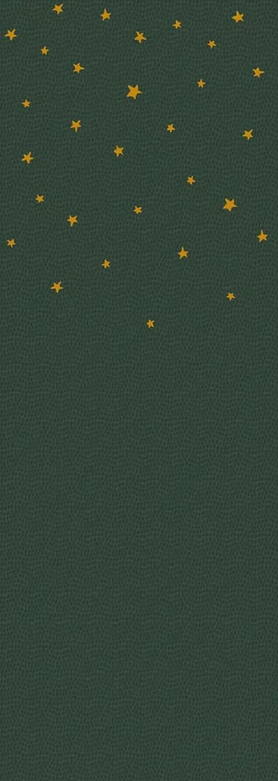 Sam & Luca - Dino nights uni dots forest green