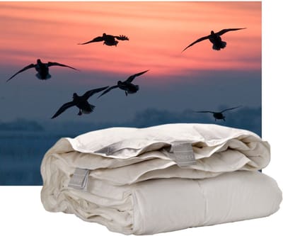 Isleep Donzen 4-Seizoenen Dekbed - 60% Dons - Eendendons en Eendenveren - Eenpersoons - 140x220 cm