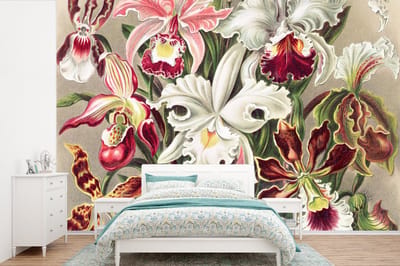 Behang - Fotobehang Bloemen - Ernst Haeckel - Vintage - Orchidee - Breedte 420 cm x hoogte 280 cm