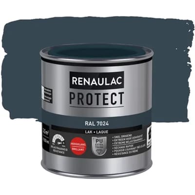 Renaulac Houtlak Protect - Hoogglans - Grafietgrijs Ral 7024 - 250ml