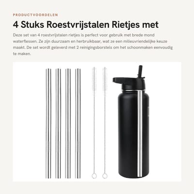 Dailygoods- Rietjes Vervangingsset 4 Stuks - Roestvrij Stalen Rietjes - Rietjes Borstel 2 Stuks - Rietjes voor Fles - Rietjes voor Kamperen - Rietjes 23 cm - Drinkrietjes