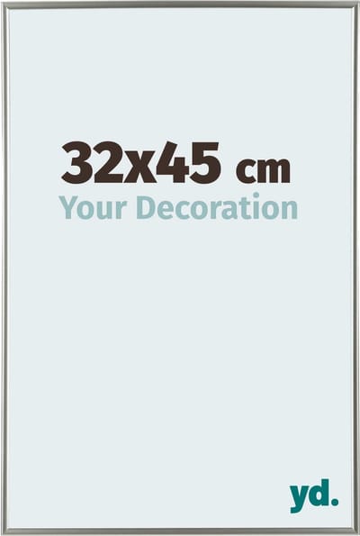 Your Decoration - Fotolijst 32x45 cm - Kunststof - Champagne - Evry
