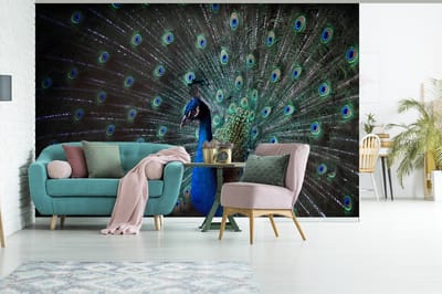 Behang - Fotobehang Pauw - Veren - Kleuren - Breedte 450 cm x hoogte 300 cm
