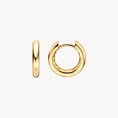 Blush gouden oorringen LG7021Y | oorsieraden goudkleurig, 14k gerecycled geelgoud, klapsluiting | tijdloos design, elegante stijl