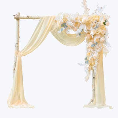 Dailygoods - EBETA Bruiloft Volant Dwarsbehang Vrijhanddecoratie voor Bruiloftsboog & Trouwboog Hemelbed Gordijnen voor Raamdecoratie van Chiffon-Stof (Champagne, 145x600 cm)