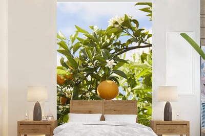 Behang - Fotobehang Sinaasappels in de boom met oranjebloesem - Breedte 170 cm x hoogte 260 cm
