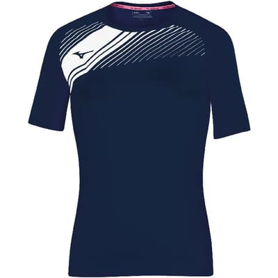 Damestrui Mizuno Team Iwata Game