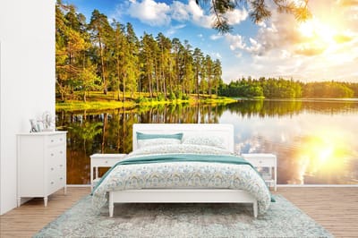 Behang - Fotobehang Water - Bomen - Natuur - Breedte 435 cm x hoogte 260 cm