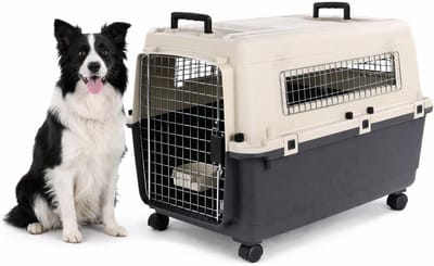 Reisbench hond – Autobench – Transportbox hond – Fomad Donkergrijs L (57x80x59,5 cm) – Kunststof – Met metalen deur & veiligheidsslot – Inclusief eet- en drinkpot & wielen – Flamingo