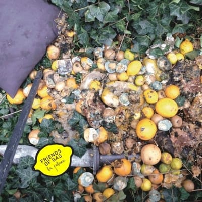 Friends Of Gas & Lafote - La Palma/ Und All Die Hummeln (7" Single)