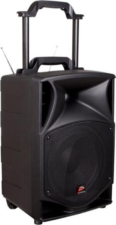 JB Systems PPA-101 Portable Speaker - Mobiele Speaker met 2 Draadloze Microfoons en Optionele Batterij