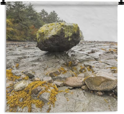 Wandkleed - Wanddoek - Rots op het strand van Haida Gwaii in Canada - 150x150 cm - Wandtapijt