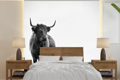 Behang - Fotobehang Dieren - Schotse hooglander - Zwart wit - Natuur - Landelijk - Breedte 300 cm x hoogte 300 cm