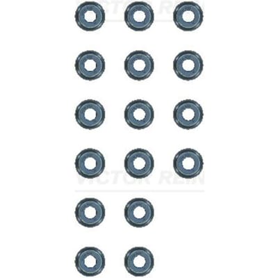 Victor Reinz Pakkingset, klepsteel REINZ 12-13109-01