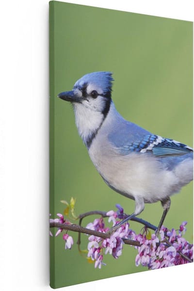 Artaza Canvas Schilderij Blauwe Gaai - 20x30 cm - Klein - Wanddecoratie Bloemen - Muurdecoratie Vogels - Kamer Accessoires