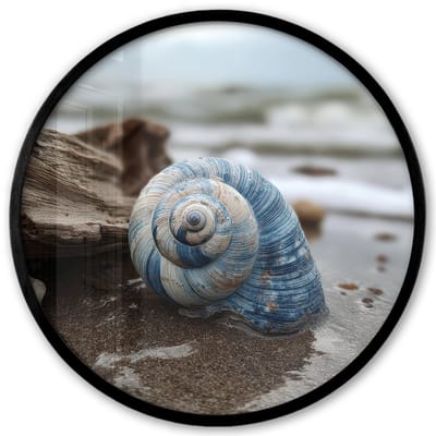 Poster in lijst Rond - Fotolijst 40x40 cm - Posters - Schelp - Strand - Blauw - Zee - Ronde posterlijst zwart - Decoratie - Wanddecoratie woonkamer - Muurdecoratie slaapkamer