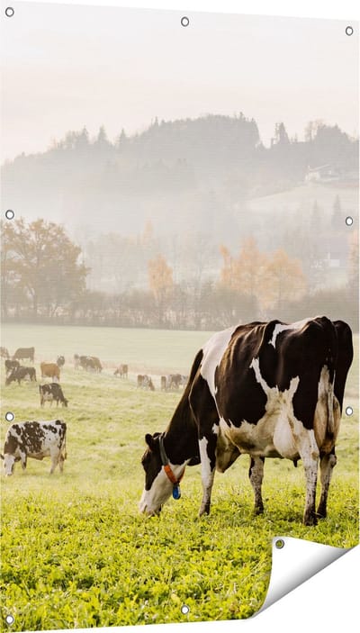 Gards Tuinposter Zwart Witte Koeien in de Wei - 80x120 cm - Tuindoek - Tuindecoratie - Wanddecoratie buiten - Tuinschilderij