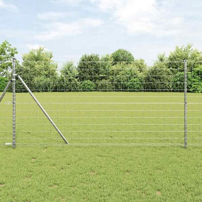 vidaXL - Euro - Hek - 1 - x - 10 - m - PVC-gelaagd - ijzer