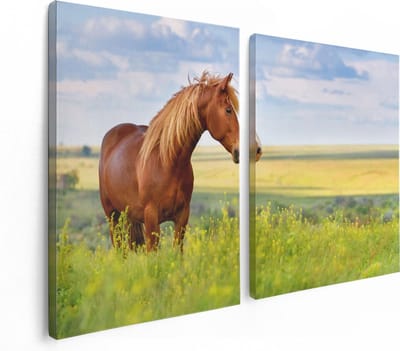 Artaza Canvas Schilderij Tweeluik Bruin Paard In De Wei - 120x80 - Foto Op Canvas - Canvas Print