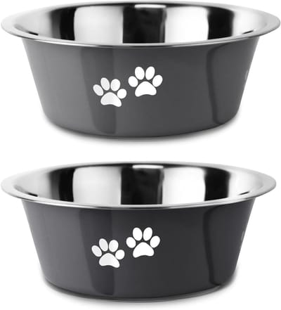 Hondenbak Roestvrijstaal - Voerbak Hond - Gezond Eten - Antislip Bodem - 21 cm Diameter - Grijs