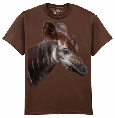 The Elusive Okapi The Coloured House T-shirt M