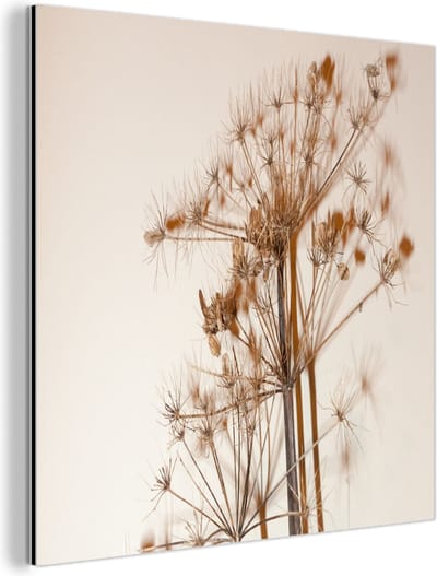 Aluminium schilderij 90x90 cm - Wanddecoratie metaal - Droogbloemen - Stilleven - Wit - Planten - Bloemen - Metalen muurdecoratie woonkamer - Decoratie industrieel - Foto op dibond - Industriële accessoires slaapkamer