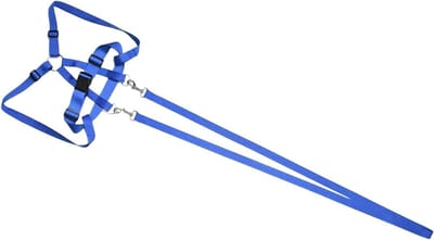 Kinder Riem - Veiligheidsharnas Tuigje - Buiten Avonturen - Verstelbare Pasvorm - 200 cm Lengte - Blauw