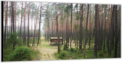 KuijsFotoprint - Schilderij - Houten Hutje In Het Bos - Groen En Bruin - 100 X 200 Cm