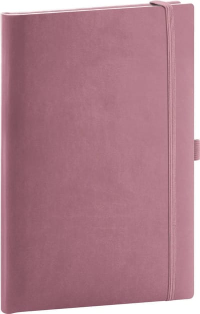 Aprint Neo Pink Notitieboek A5 Stippen