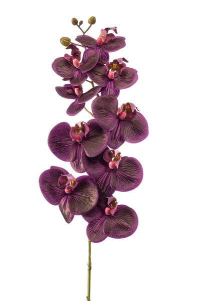 Emerald - Kunstbloem Phalaenopsis RT 95cm paars - Kunstplant voor binnen