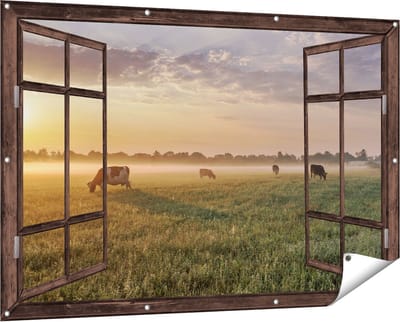 Gards Tuinposter Doorkijk Koeien in de Wei tijdens Zonsopkomst - 150x100 cm - Tuindoek - Tuindecoratie - Wanddecoratie buiten - Tuinschilderij